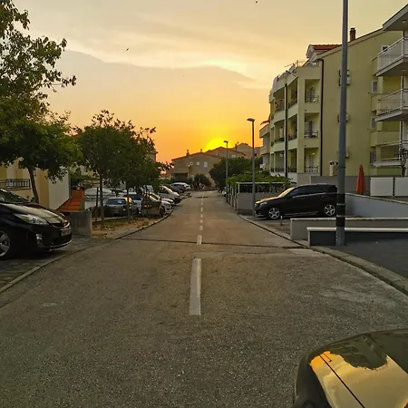 Dalma * Makarska